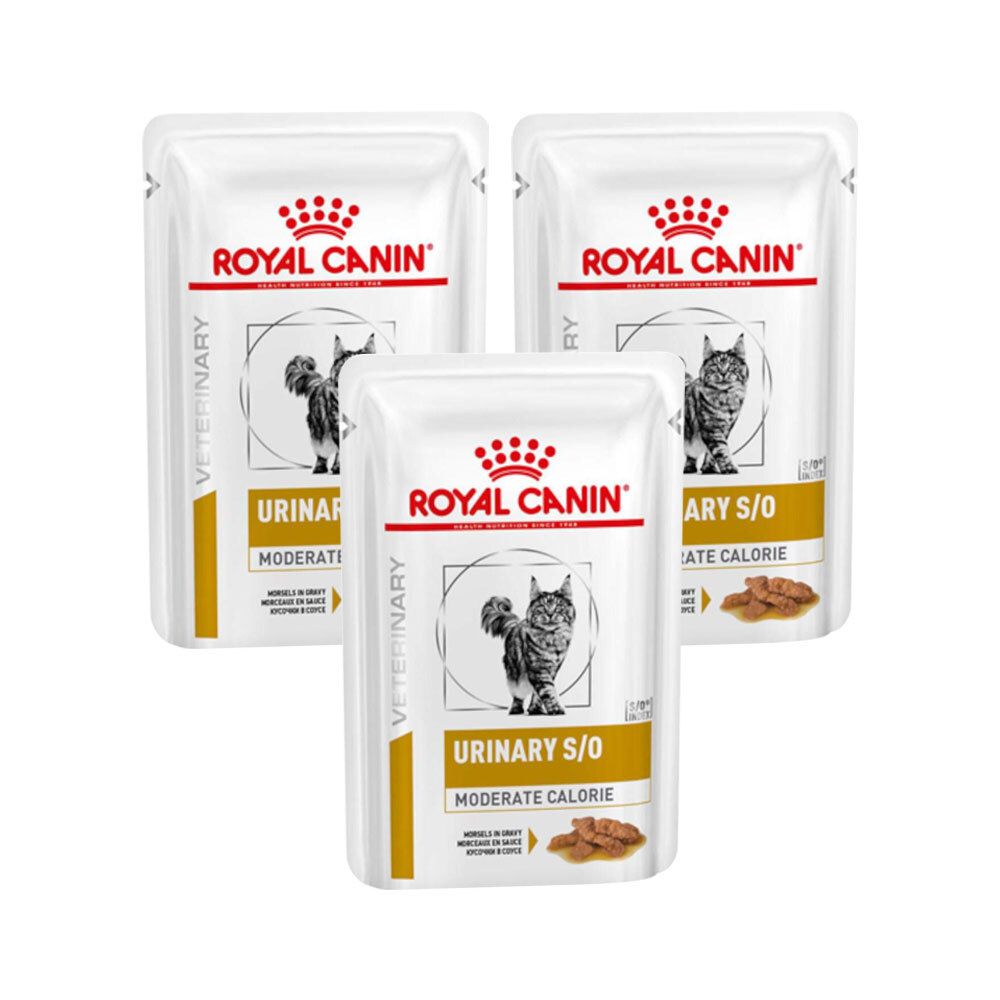 Royal Canin Feline Urinary Moderate Calorie 12x85g Dreierpack 3x12x85 g Futter