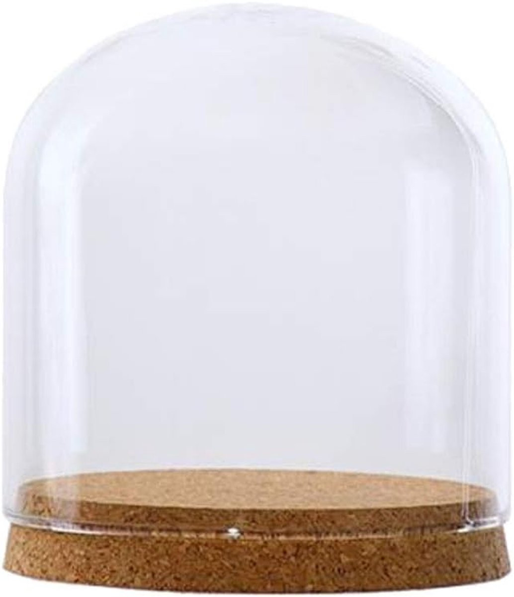 Glazen Cloche Set van 2 stuks - Decoratieve Stolpen van Borosilicaatglas - Transparant