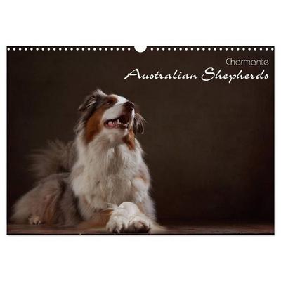 Charmante Australian Shepherds (Wandkalender 2027 DIN A3 quer), CALVENDO Monatskalender