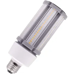Bailey | LED-Lampe | Große Fassung E27 | Röhrenlampe | 60mm | 27W