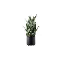 Sansevieria getopft   ¦ grün ¦ Kunststoff ¦ Maße (cm): H: 66