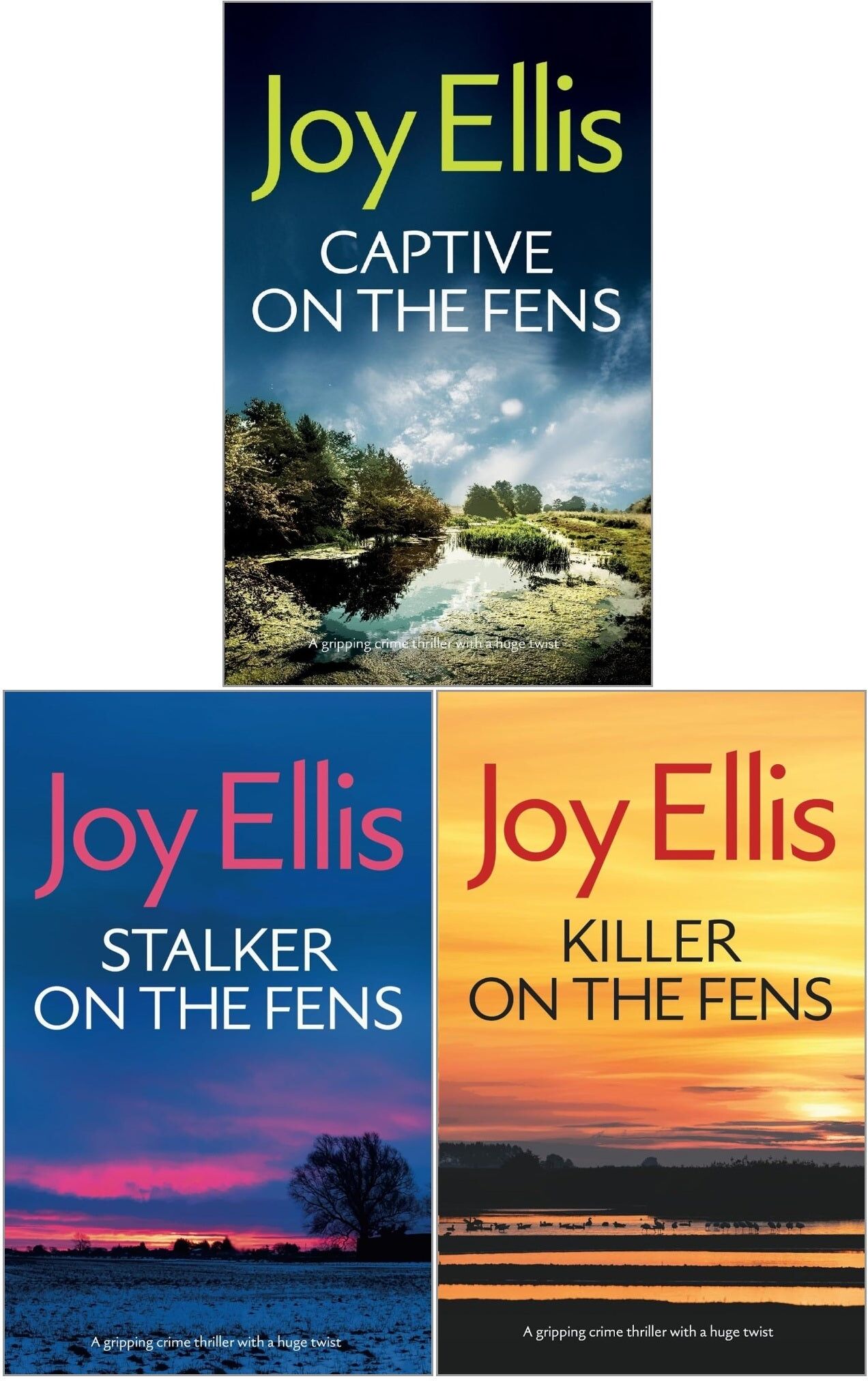 Joffe Books Detective Nikki Galena Series 4-6 Books Collection Set by Joy Ellis (Killer on the Ferns, Stalker on the Ferns, Captive on the Ferns)