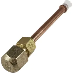 Ventil Schrader 5/16'' ASM - 8738211579