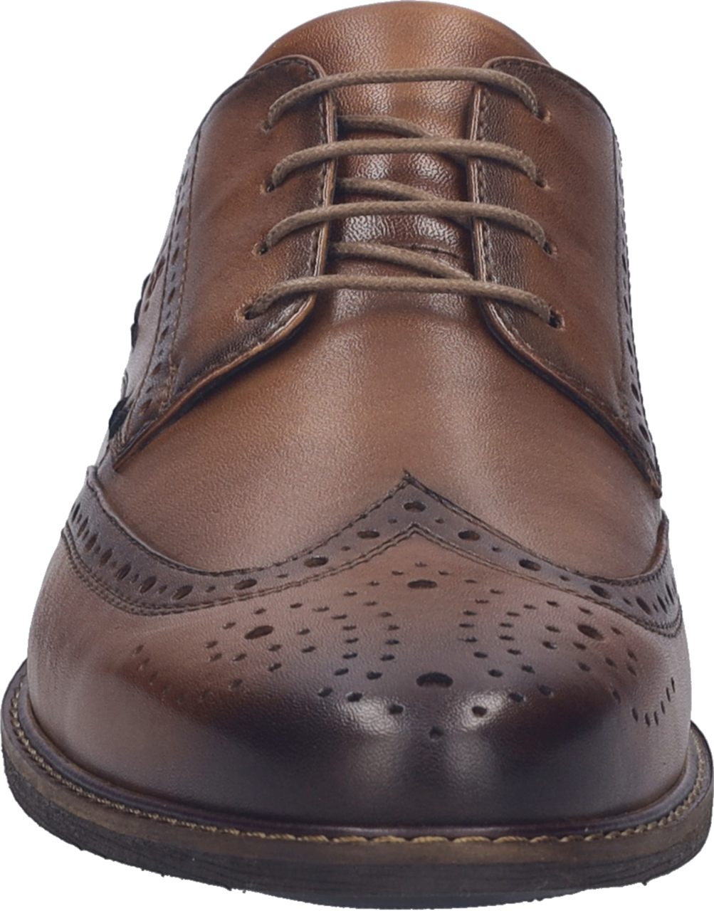 Budapester JOSEF SEIBEL "Desmond 02", Herren, Gr. 41, Leder, braun (cognacfarben), Lyralochung, used, Schuhe Budapester, Schnürer, Abendschuh mit elegantem Lyra-Lochmuster, H-Weite