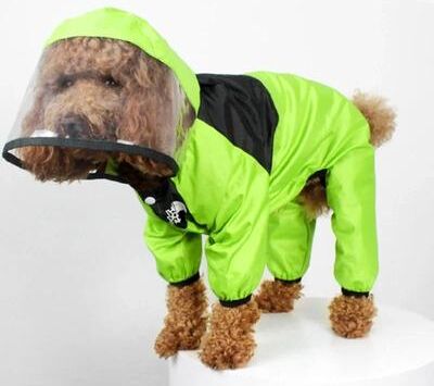 Uplift Essentials Premium Transparent Hooded Pet Raincoat & Waterproof Jumpsuit green s