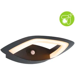 Paulmann LED Außenwandleuchte Akena Bewegungsmelder insektenfreundlich IP44  243x254mm 2200K 10,8W 800lm 230V  Anthrazit Aluminium 94839