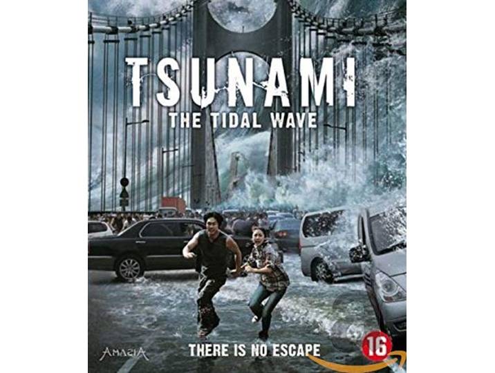Tsunami - The tidal wave