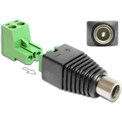 DELOCK Adapter Terminalblock 2Pin -> DC 2,1 x 5,5mm Bu 2-