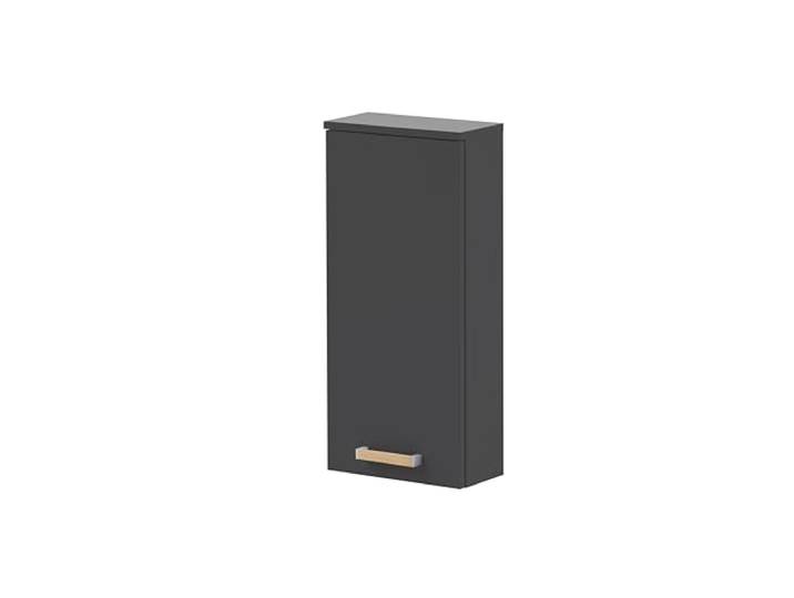 Schildmeyer Duo 146533 Placard Mural\, Anthracite\, 32\,7 x 16\,2 x 72\,3 cm