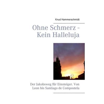 Ohne Schmerz - Kein Halleluja, Taschenbuch von Knud Hammerschmidt, BoD – Books on Demand