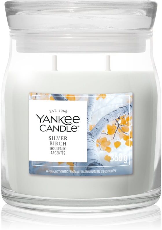 Yankee Candle Silver Birch bougie parfumée 368 g