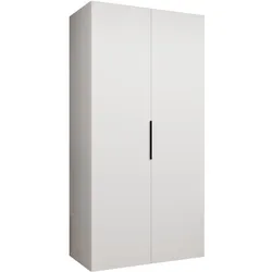 DREHTÜRENSCHRANK 202/100/52 2-türig