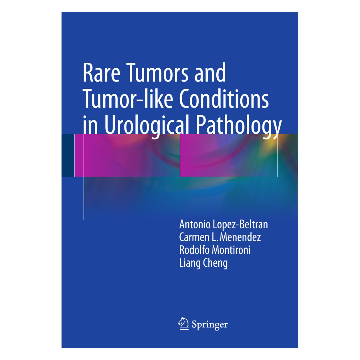 Springer Lopez-Beltran:Rare Tumors and Tumor-lik (Englisch, Hardcover, Antonio Lopez-Beltran, Carmen L. Menendez, Liang Cheng, Rodolfo Montironi) (9783319102528)