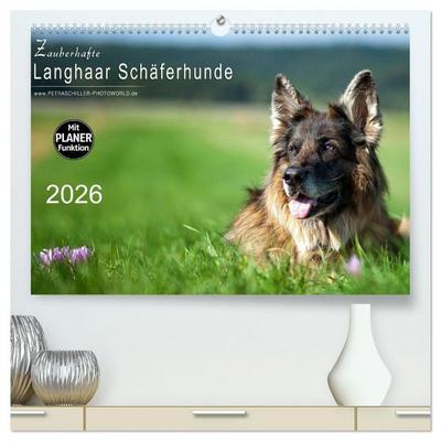 Zauberhafte Langhaar Schäferhunde (hochwertiger Premium Wandkalender 2026 DIN A2 quer), Kunstdruck in Hochglanz