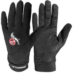 hummel 1. FC Köln Spielerhandschuhe 2023/24 2001 - black XS