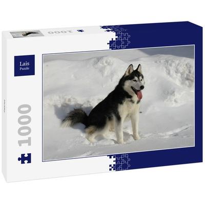 Lais Puzzle Husky 1000 Teile