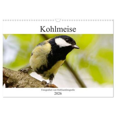 Kohlmeise - Fotografiert von Ostfriesenfotografie (Wandkalender 2026 DIN A3 quer), CALVENDO Monatskalender