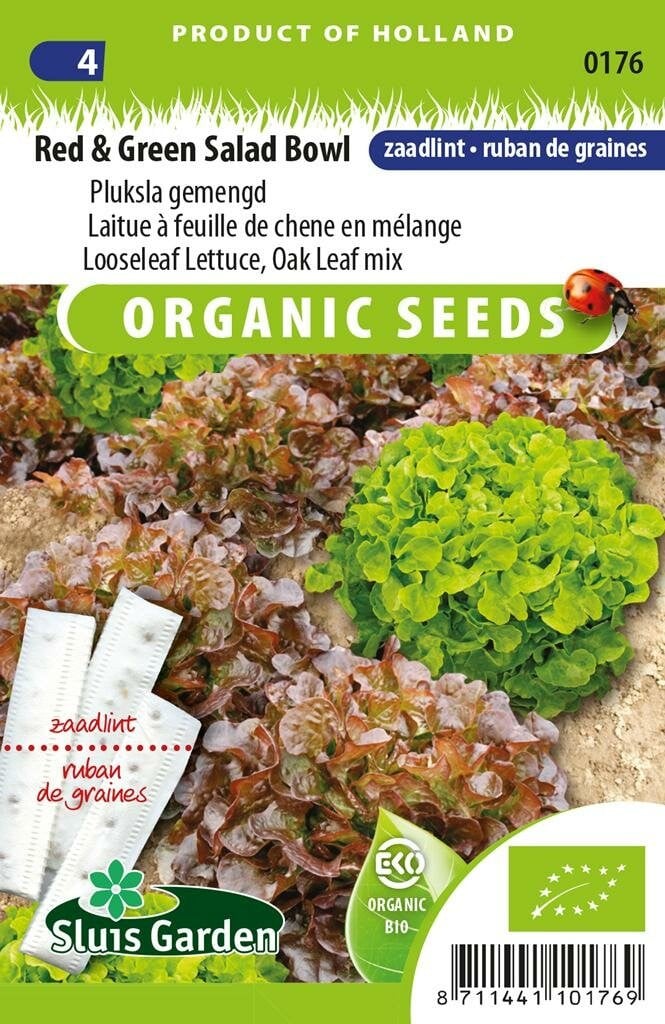 Sluis Garden Pluksla Red & Green Salad Bowl BIO zaailint