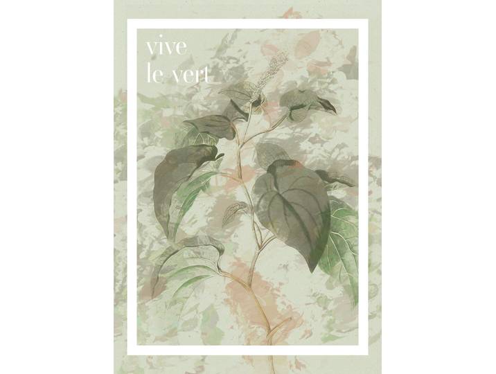 Bild KOMAR PLANT ART Vive le vert , grün (farbe bild(er): grün), B:50cm H:70cm, Holz, Papier, Bilder, Bild, Wandbild zur Dekoration - ohne Rahmen