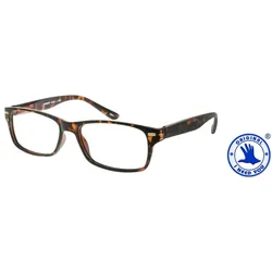 I NEED YOU Lesebrille ROBERT G6900 havana