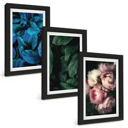 BILDER SET 3er Set - 20x30 cm Schwarzer Rahmen - Blätter, Blüten, verschiedene Farben