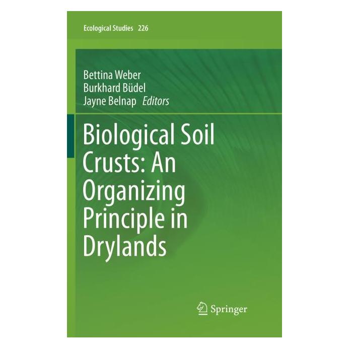 Springer Biological Soil Crusts: An Organizing Principle in Drylands (Englisch, Softcover, Bettina Weber, Burkhard Büdel, Jayne Belnap) (55999841)