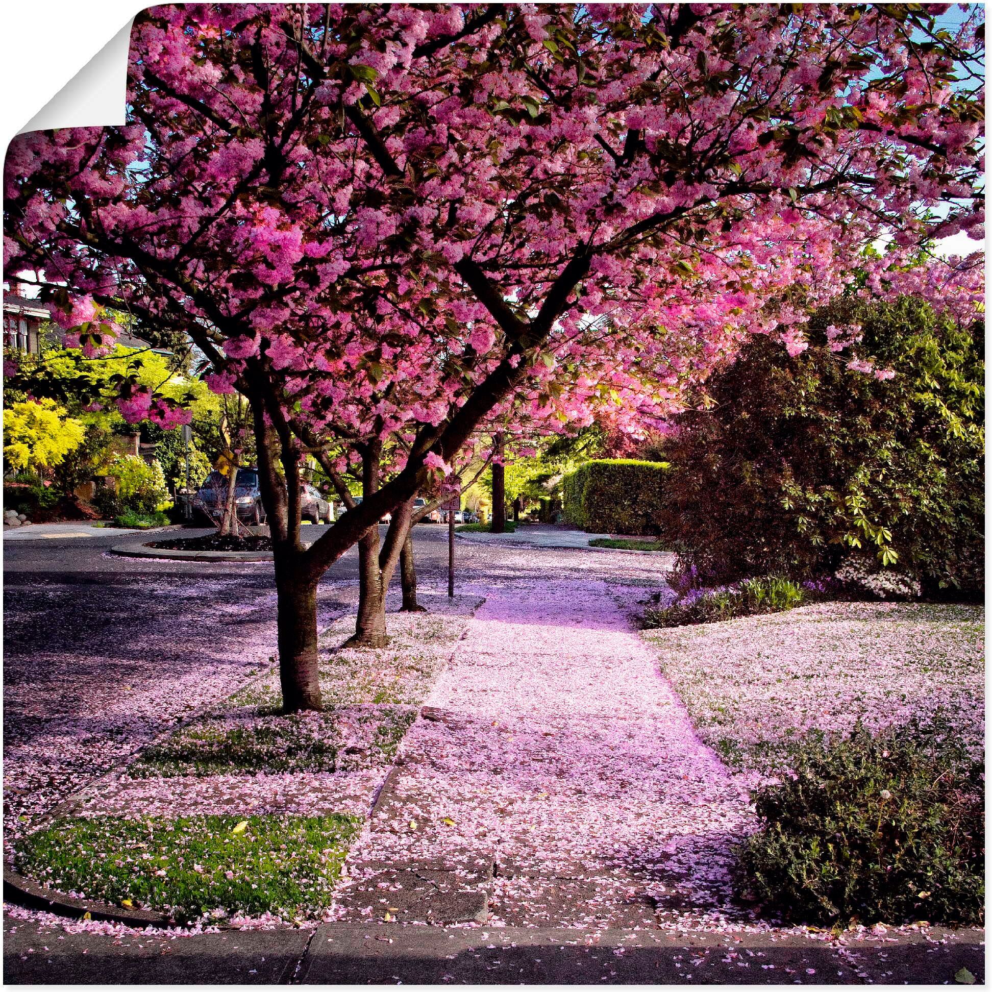 Wandbild ARTLAND "Fallende Blütenblätter", pink (farbe bild(er): pink), B:50cm H:50cm, Bilder, Wandbild, als Leinwandbild, Poster in verschied. Grössen farbe bild(er): pink B/H/T: 50cm x 50cm, Poster Bäume quadratisch, 1 Stk.