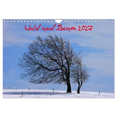 Wald und Baum 2027 (Wandkalender 2027 DIN A4 quer), CALVENDO Monatskalender