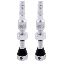 AMBIT Tubeless Ventil Set Realm | silber