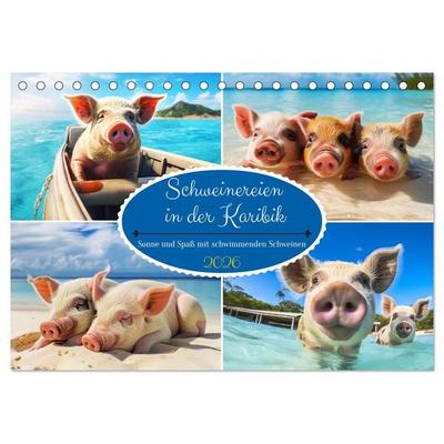 Schweinereien in der Karibik. Sonne und Spaß mit schwimmenden Schweinen (Tischkalender 2026 DIN A5 quer), CALVENDO Monatskalender