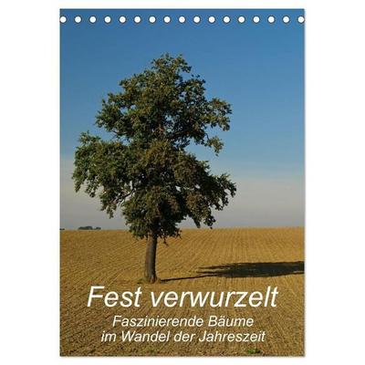 Fest verwurzelt - Faszinierende Bäume im Wandel der Jahreszeit (Tischkalender 2027 DIN A5 hoch), CALVENDO Monatskalender