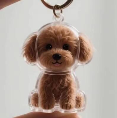 Uplifted Finds Pet Keepsake Hair Storage Keychain Pendant dog 9