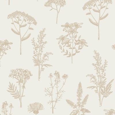 Veer Decor Luminous Botanical Sketch Wallpaper