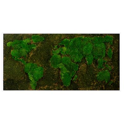 Bild mit Rahmen BÖNNINGHOFF "Moosbild "Weltkarte" 60x120 cm, weißer Rahmen", grün (farbe rahmen: weiß, farbe bild(er): grün), B:120cm H:60cm T:5,5cm, Holzwerkstoff, Bilder, handgefertigt, jedes Bild ein Unikat