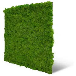 Wandpaneel Jangal Modular Wall 11102 Bright Green Moos 52 x 52 cm