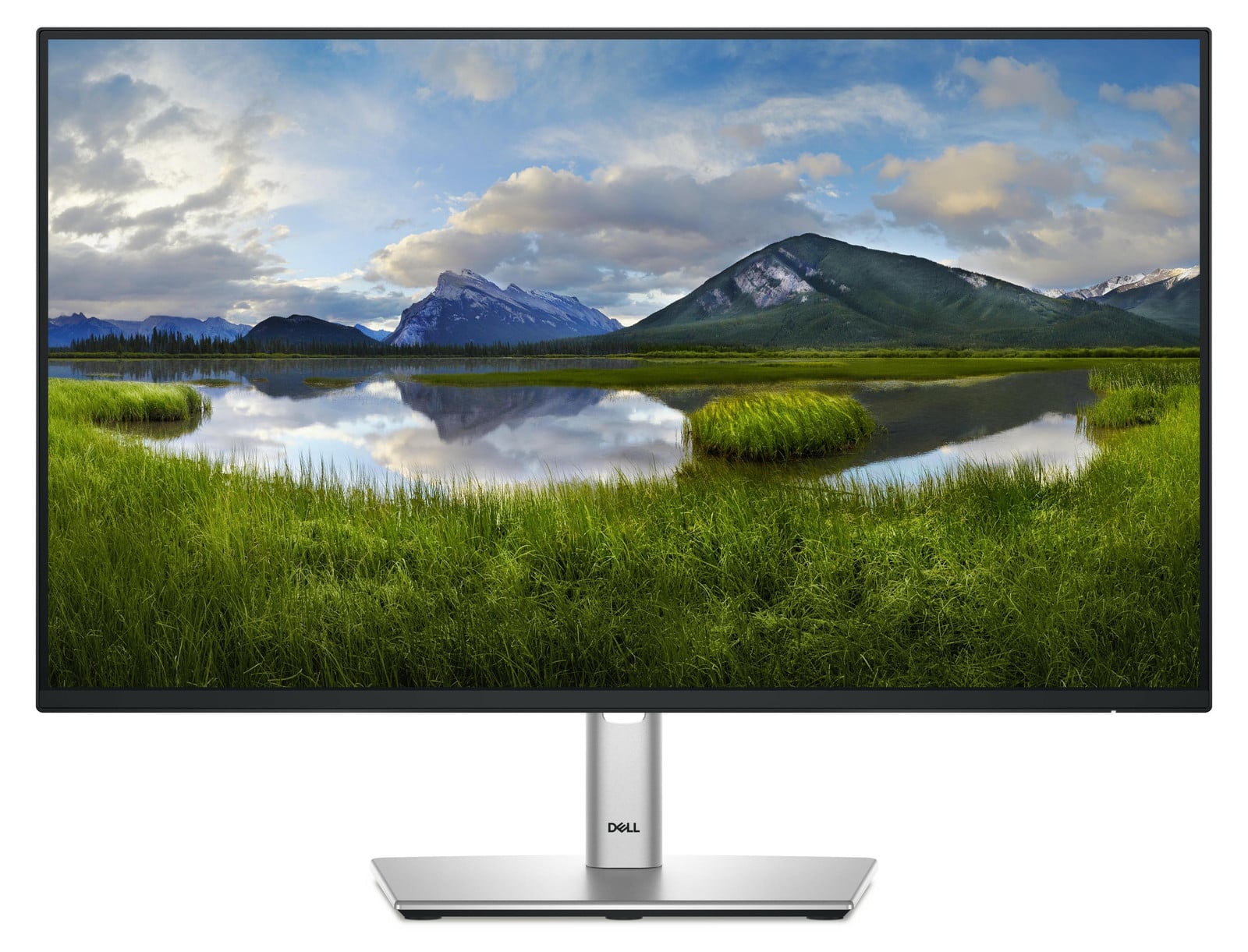 Dell P2425HE Monitor, 61,0 cm (24,0 inch), zwart