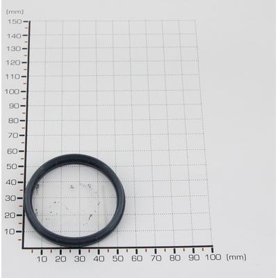 TRISCAN Dichtung 8813 9995 für Ford