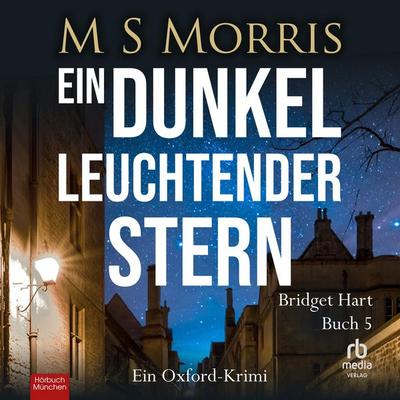 Ein dunkel leuchtender Stern - M. S. Morris, Audio, 9783987858925