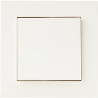 Light Switch, Schalter weiß, HomeKit