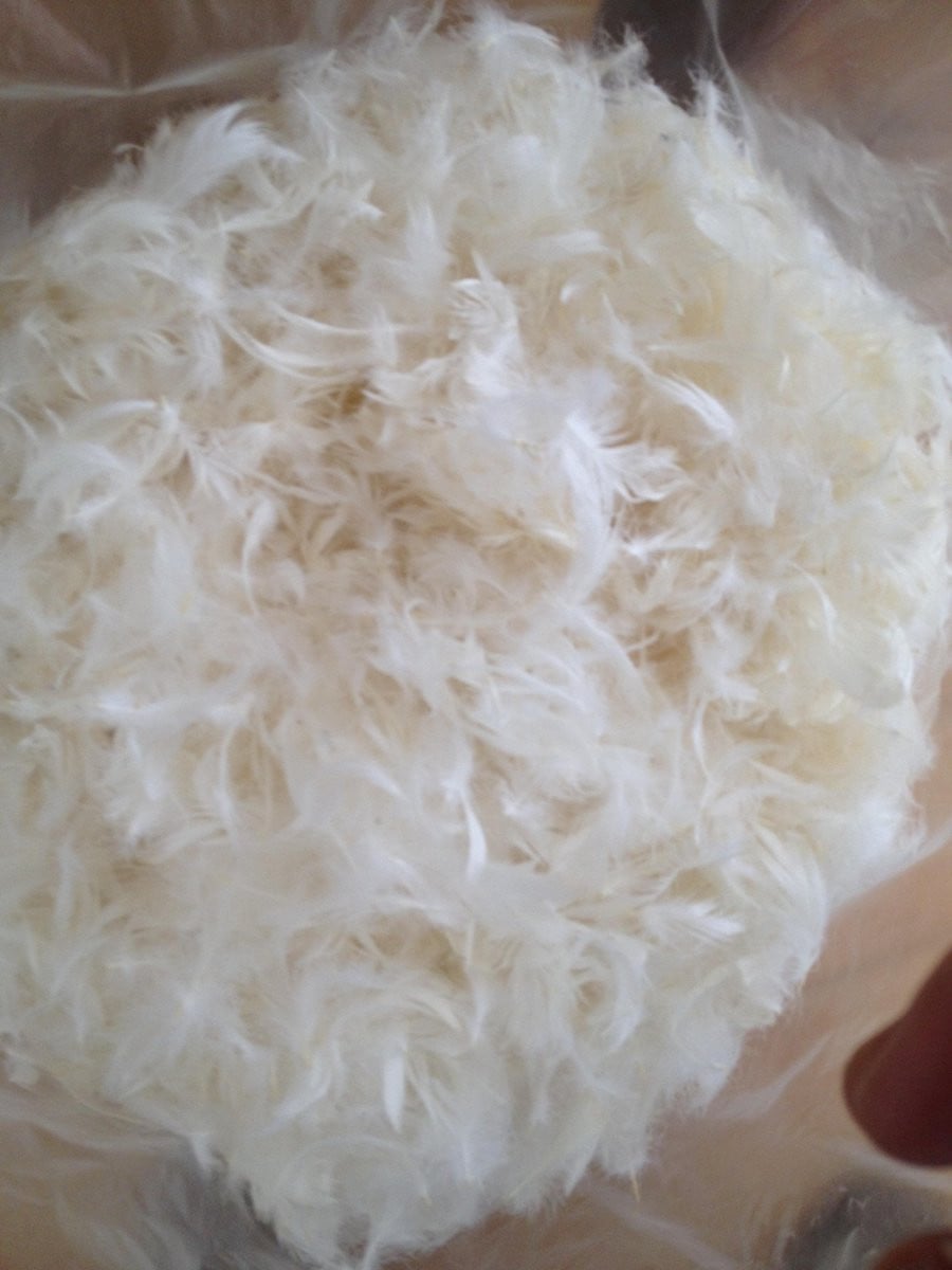 Rovul Kussenvulling met 100% Zuivere Eendenveren - 1 kg