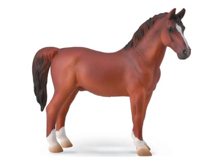 Hackney Stallion Chestnut