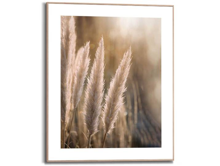 Kunstdruck REINDERS Pampas , beige (farbe bild(er): beige), B:40cm H:50cm T:1,6cm, MDF, Bilder, Kunstdruck