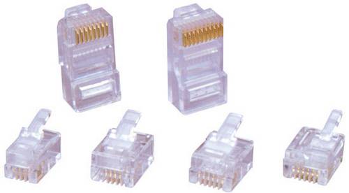 TRU COMPONENTS Western RJ 1eckverbinder 7712828 Stecker, gerade Polzahl Sensoren 6P4C