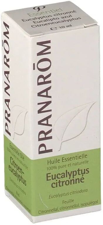 Pranarom Eucalipto Azul Folha