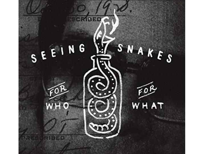 Seeing Snakes - For Who For What