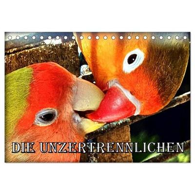 Die Unzertrennlichen (Tischkalender 2027 DIN A5 quer), CALVENDO Monatskalender