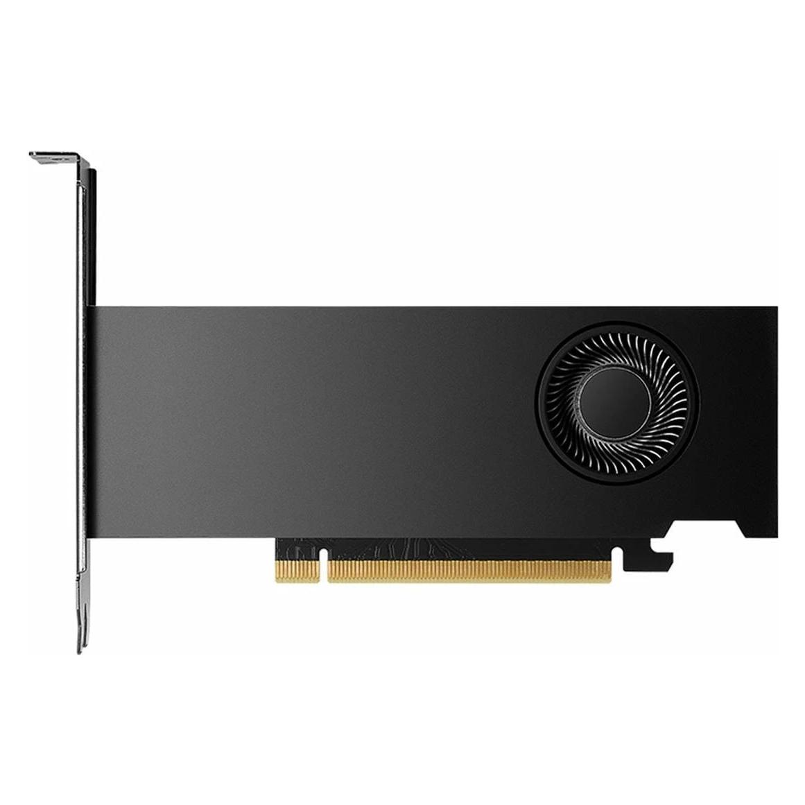 PNY RTX 2000 Ada (16 GB, GDDR6) (VCNRTX2000ADA-PB)