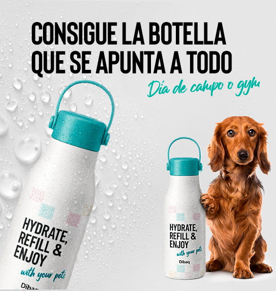 Botella Térmica Dibaq