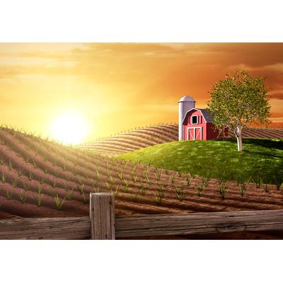 Fototapete PAPERMOON "Morning on the Farm", bunt, B:2,5m L:1,86m, Vlies, Tapeten