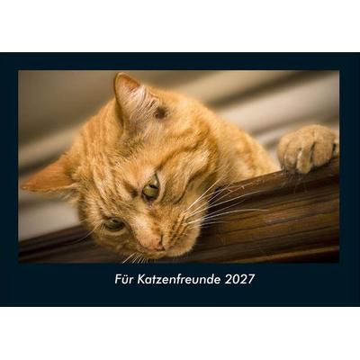Für Katzenfreunde 2027 Fotokalender DIN A4